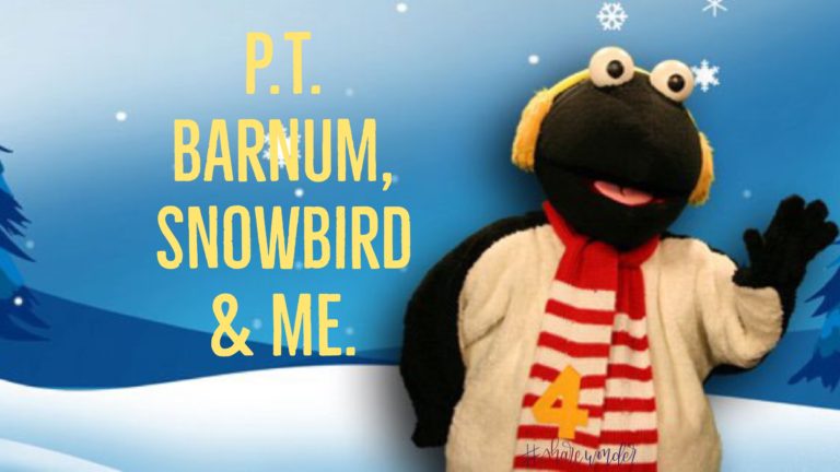 P.T. Barnum, Snowbird & Me