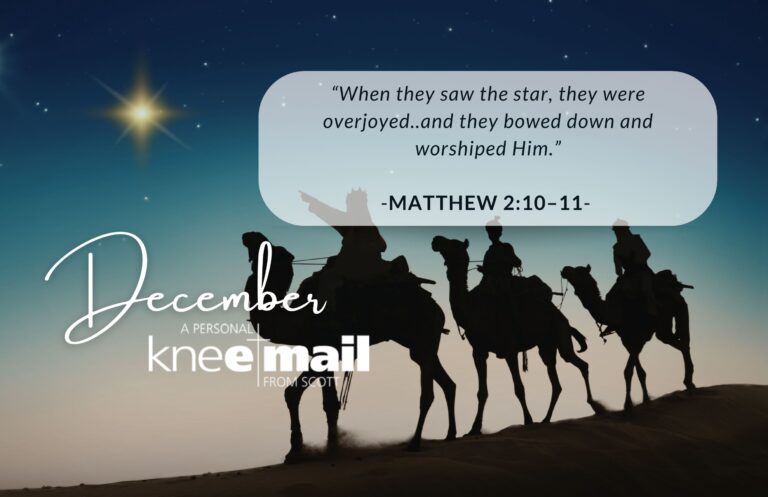 The Wonder of the Magi: What the Wise Men Teach Us About Seeking Christ